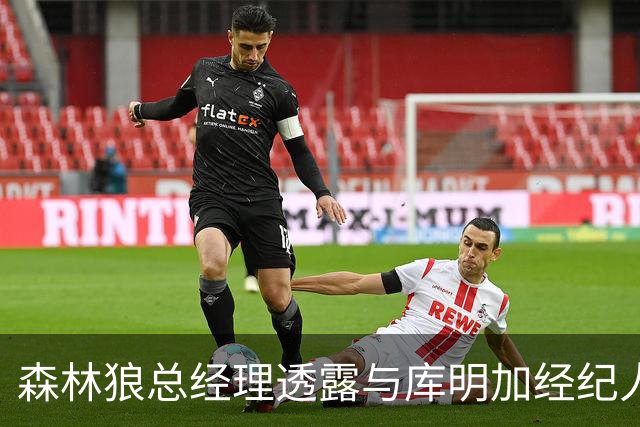 森林狼总经理透露与库明加经纪人频繁沟通的经历